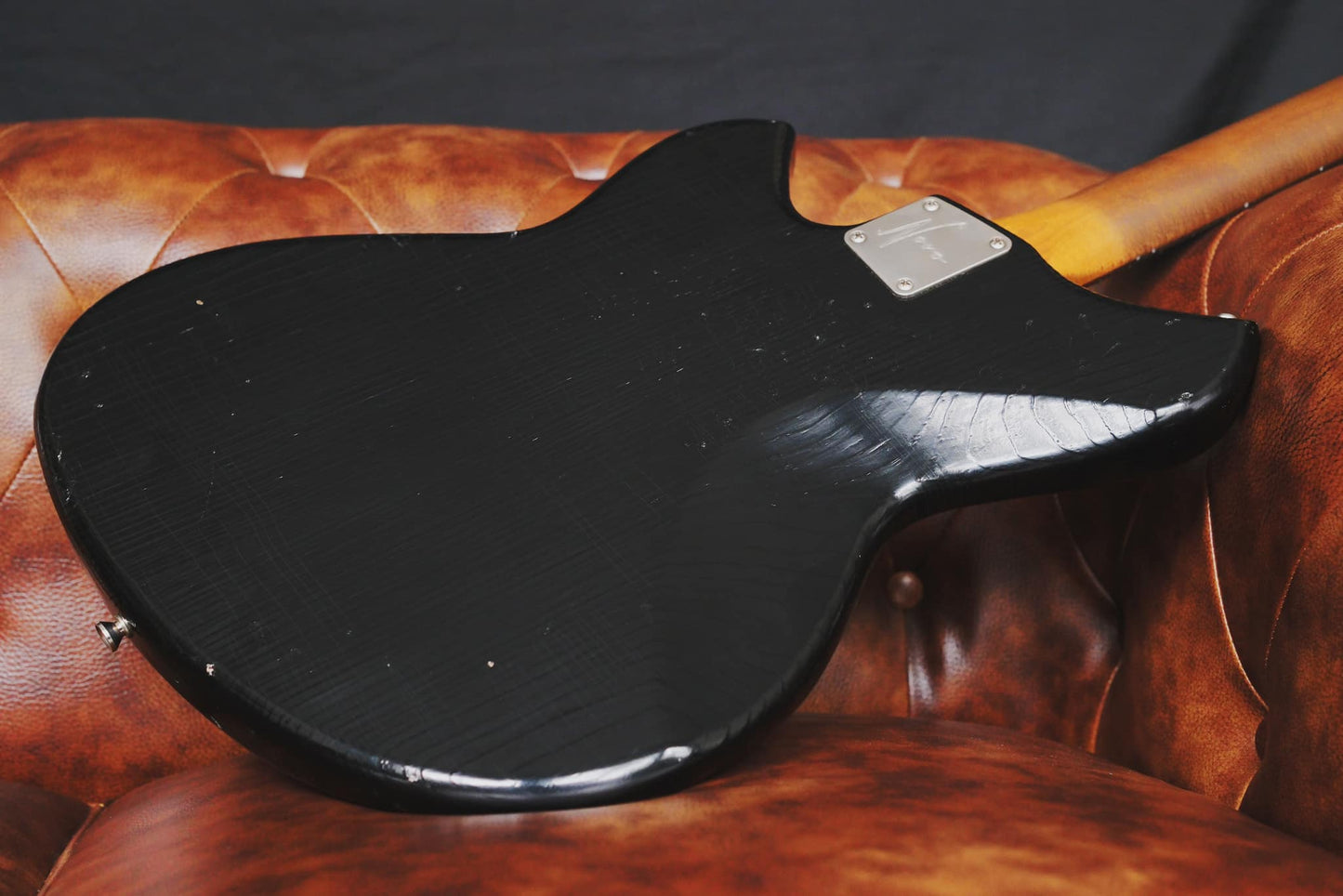 Novo Serus J Bull Black