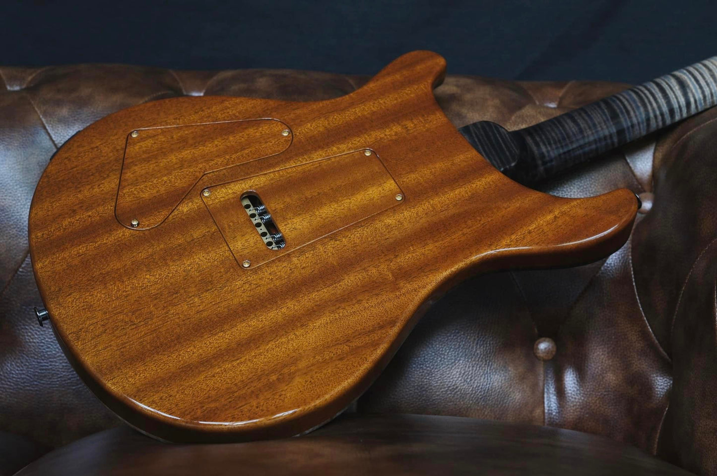 PRS Private Stock Custom 24 Frost Bite Dragon's Breath (Used)