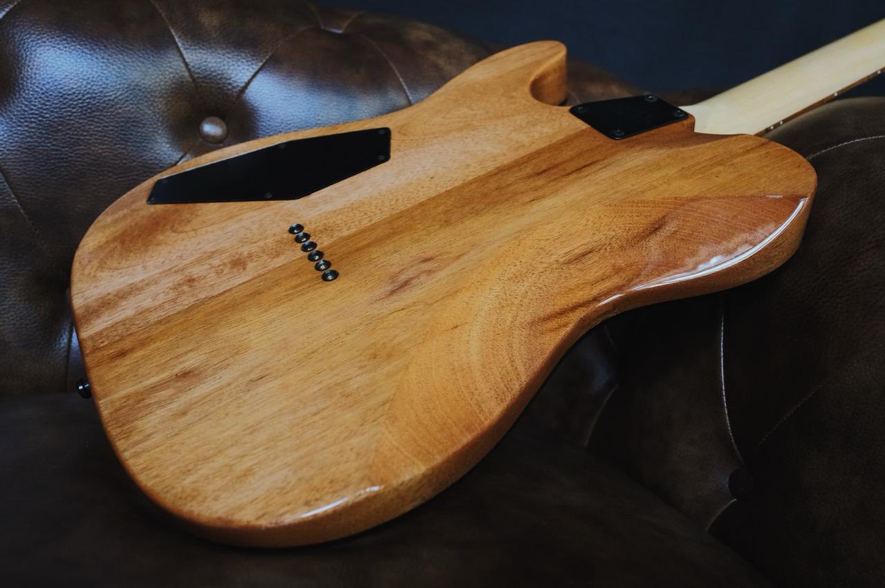 ESP USA TE-II Zebrawood Limited Edition (Used)