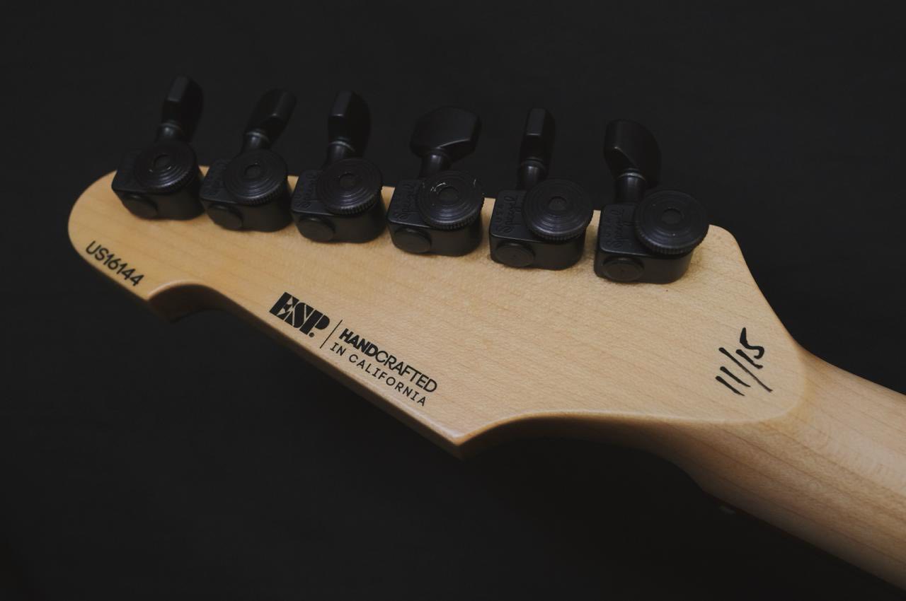 ESP USA TE-II Zebrawood Limited Edition (Used)