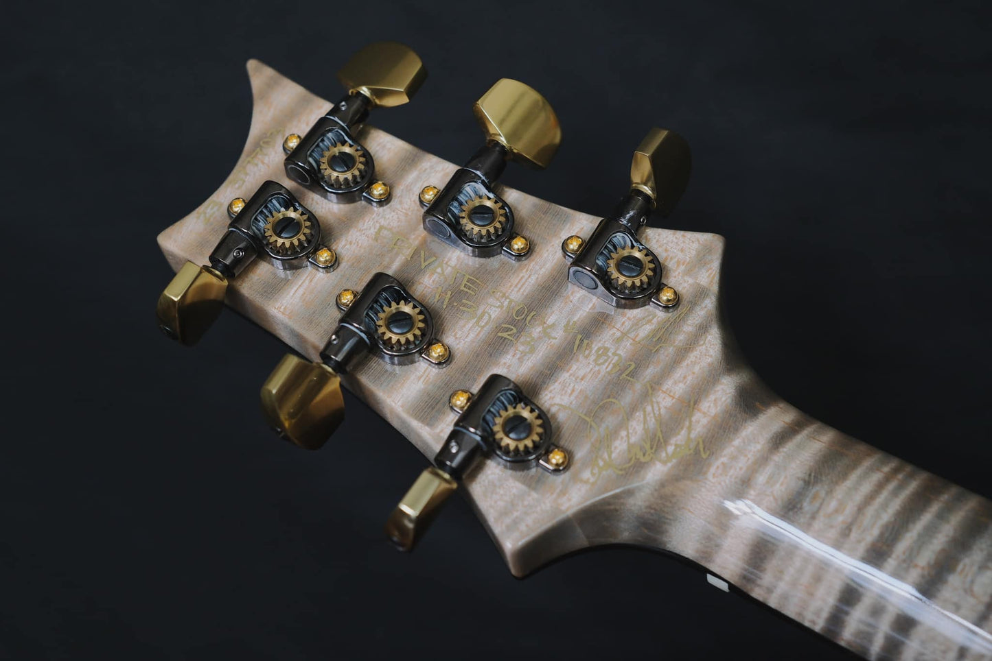 PRS Private Stock Custom 24 Frost Bite Dragon's Breath