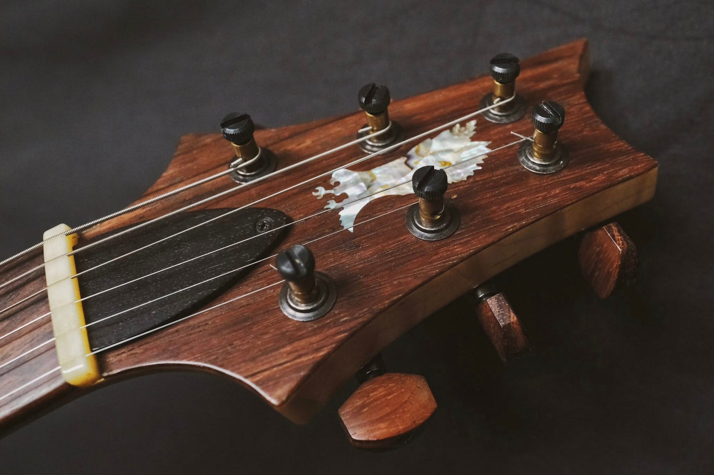 PRS Private Stock Modern Eagle V Frostbite Fade (Limited Run of 120) (Used)