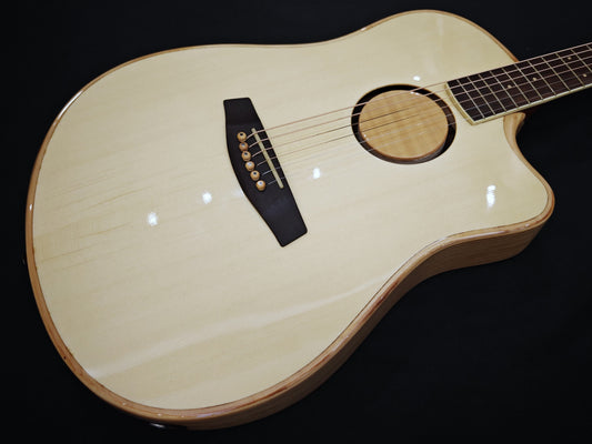 LR Baggs AEG-1 (Used)
